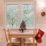 Sosnowy Raj Nad Rzeka Wkra