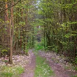 Sosnowy Raj Nad Rzeka Wkra Nyaraló
