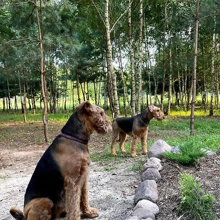 Sosnowy Raj Nad Rzeka Wkra Vakantiehuis
