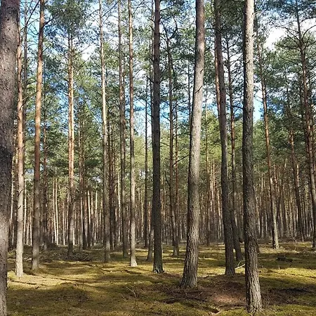 Sosnowy Raj Nad Wkra Prázdninový dům *
