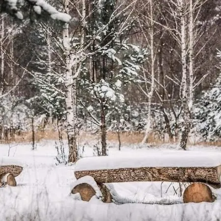 Sosnowy Raj Nad Rzeka Wkra Popielzyn Dolny