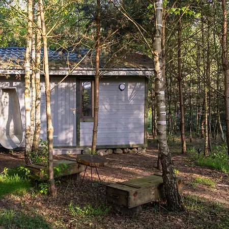 Sosnowy Raj Nad Wkra * Popielzyn Dolny