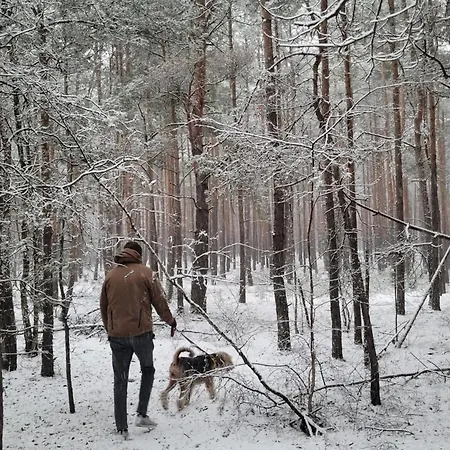 Sosnowy Raj Nad Rzeka Wkra Vakantiehuis Popielzyn Dolny