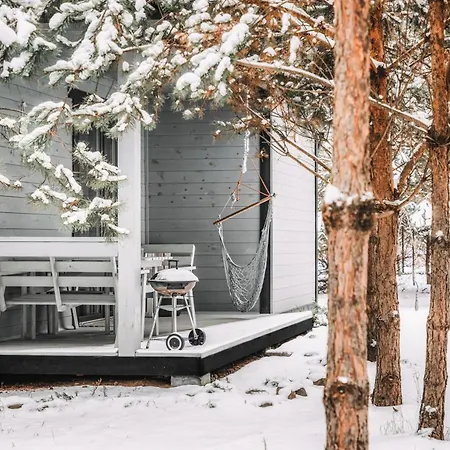 Sosnowy Raj Nad Wkra Popielzyn Dolny