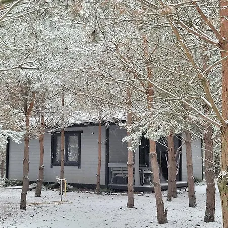 Sosnowy Raj Nad Rzeka Wkra * Popielzyn Dolny