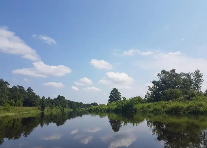 Sosnowy Raj Nad Wkra *