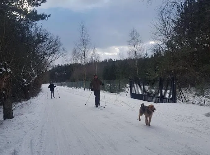 בית נופש Sosnowy Raj Nad Wkra