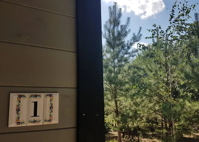 Sosnowy Raj Nad Wkra *