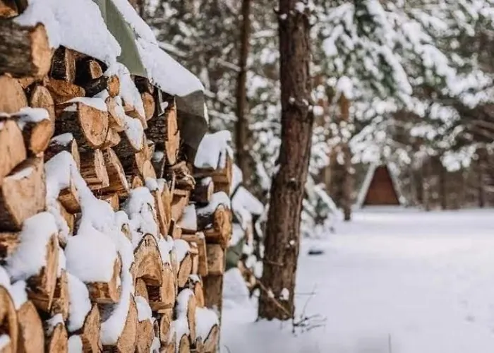 Sosnowy Raj Nad Wkra בית נופש *