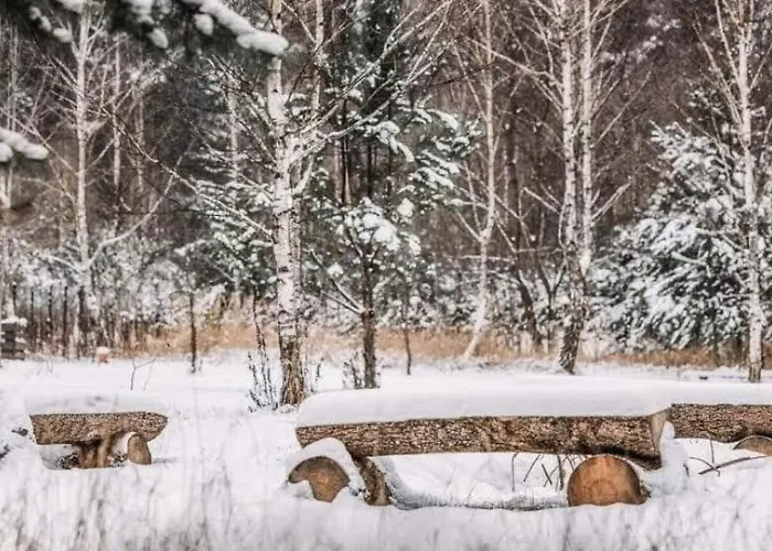 Sosnowy Raj Nad Wkra Popielzyn Dolny