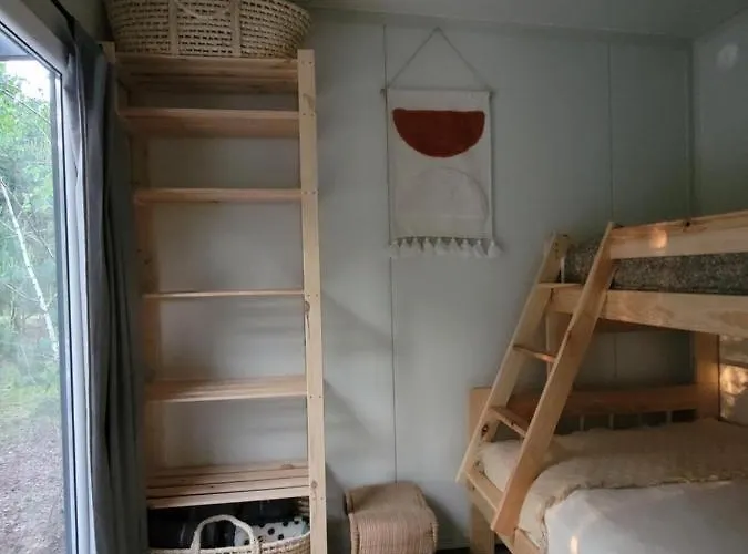 Sosnowy Raj Nad Wkrą Popielzyn Dolny