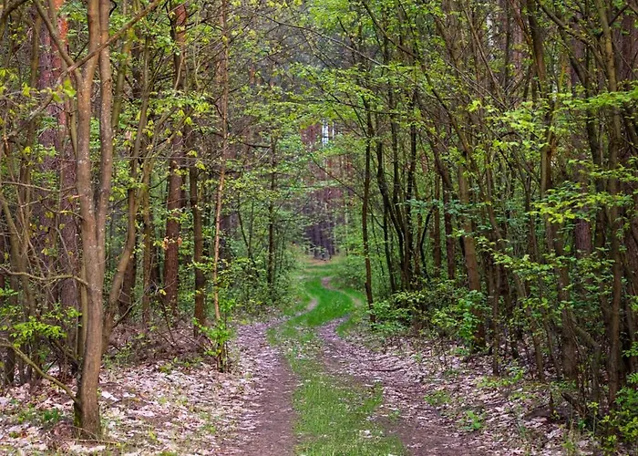 Sosnowy Raj Nad Wkra בית נופש