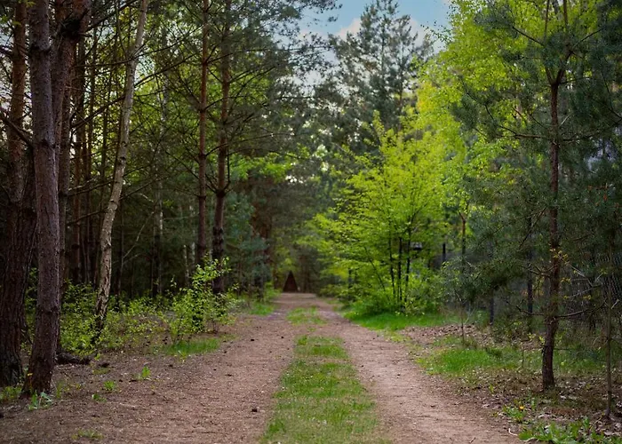 בית נופש Sosnowy Raj Nad Wkra Popielzyn Dolny