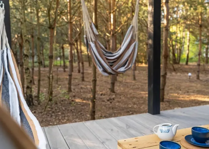 Sosnowy Raj Nad Wkrą