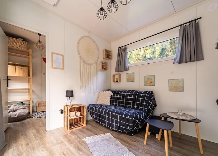 Sosnowy Raj Nad Wkrą