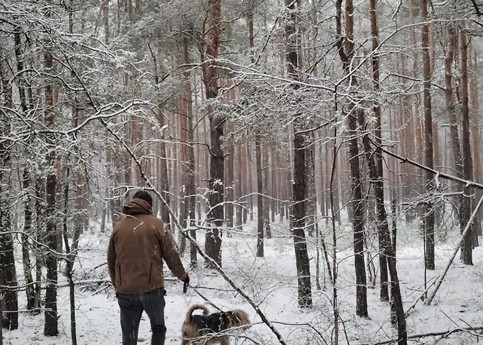 Sosnowy Raj Nad Wkra בית נופש Popielzyn Dolny