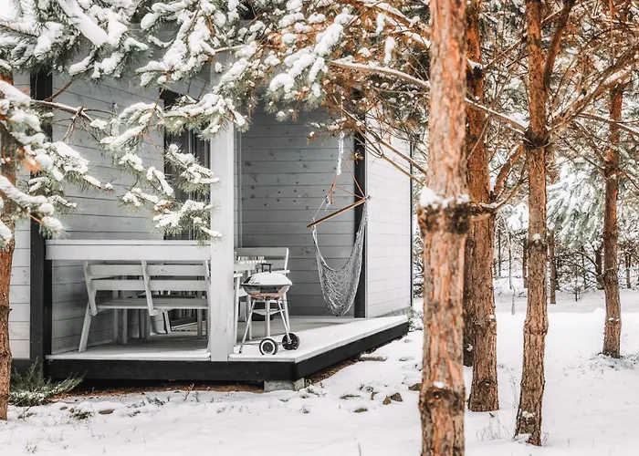 Sosnowy Raj Nad Wkra Popielzyn Dolny